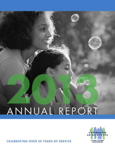 CSI 2013 Annual Report (PDF)